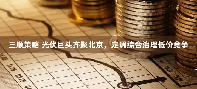 三顺策略 光伏巨头齐聚北京，定调综合治理低价竞争